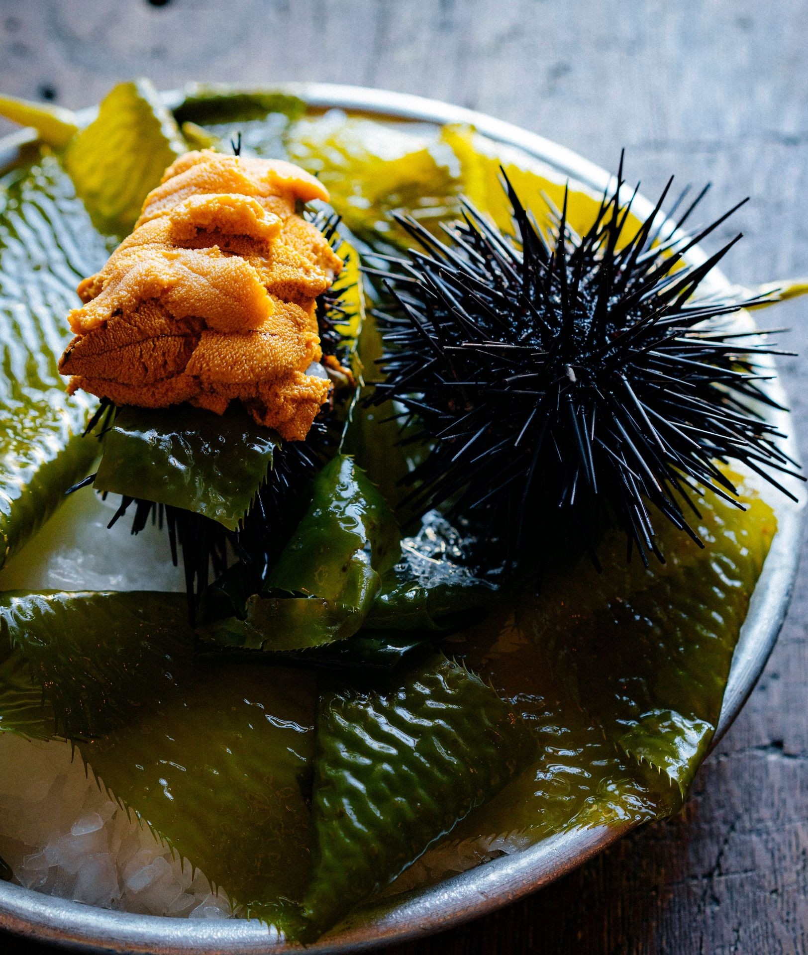 San Diego Caught Uni from Tuna Harbor Dockside market